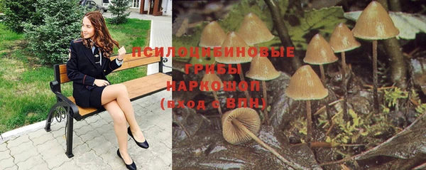 мяу мяу мука Абинск