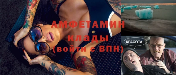 дживик Абаза