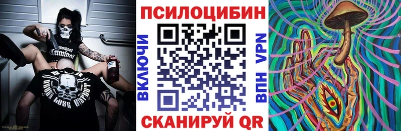 ссылка на мегу вход  Алейск  Галлюциногенные грибы мухоморы 