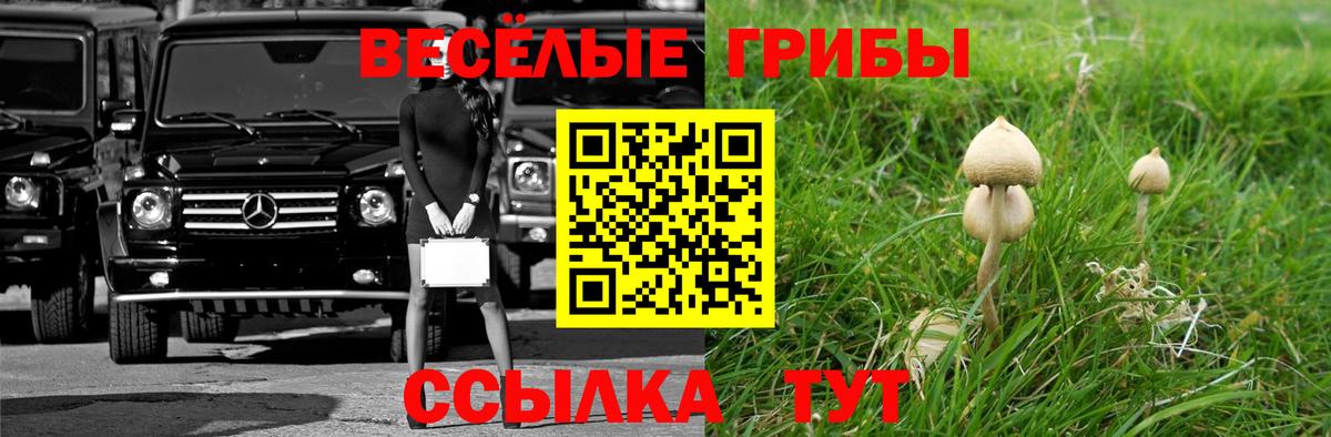 Псилоцибиновые грибы Psilocybine cubensis  Вход с VPN  Алейск  Галлюциногенные грибы прущие грибы 
